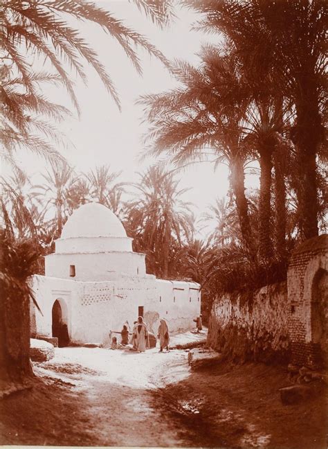 Circa 1900 - Oasis de Nefta | Tunisia, North africa, Africa