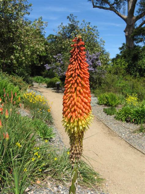 Dunedin Botanic Garden | Dunedin Gardens