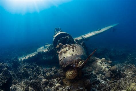 What Is Wreck Diving? - Wetsuit Wearhouse Blog