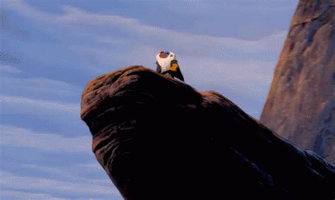 Rafiki Rafiki GIF - Rafiki Simba The Lion King - Discover & Share GIFs