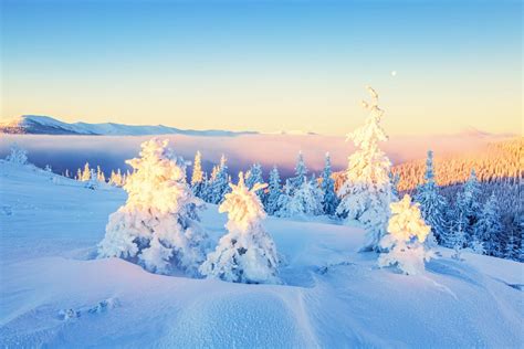 Winter Wonder Wallpapers - Wallpaper Cave