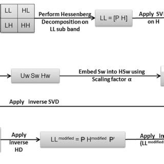 Illustration of an embedding process | Download Scientific Diagram