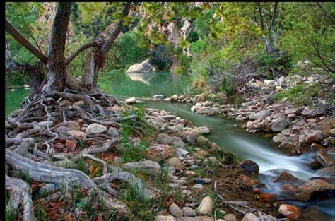 A creek in Los Padres National Forest | Los padres national forest, Channel islands national ...