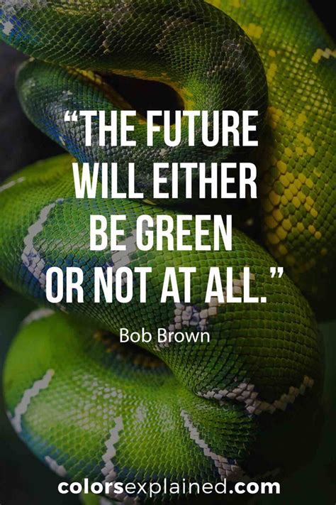 76 Quotes About Green to Inspire You • Colors Explained