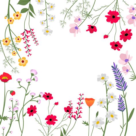Wild Flowers Vector Illustration - Download Free Vectors, Clipart Graphics & Vector Art