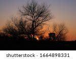 Sunset and dusk behind the tree image - Free stock photo - Public Domain photo - CC0 Images