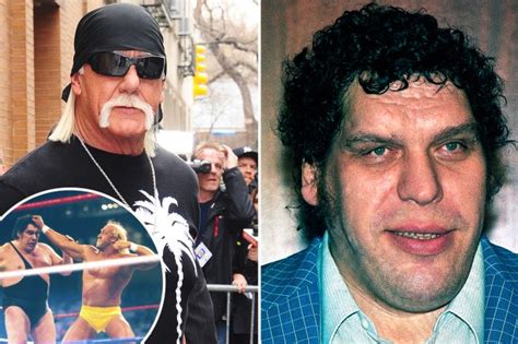 Hulk Hogan reveals André The Giant's shock 'drinking spree' in the ...