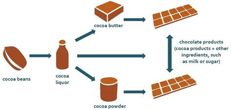 COCOA FARMING AND PROCESSING BUSINESS PLAN IN NIGERIA