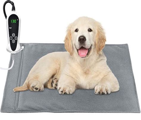 The 9 Best Heated Dog Beds to Keep a Pup Warm