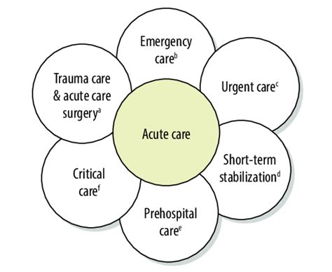 Domains in acute care | Download Scientific Diagram