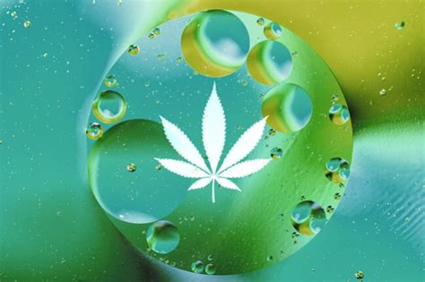 Dissolved Oxygen: The Key To Massive And Healthy Cannabis Plants - RQS Blog