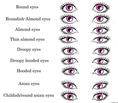 Pin by Ronya on Karakter seçme aşaması. | Eye shape chart, Shape chart, Eye shapes