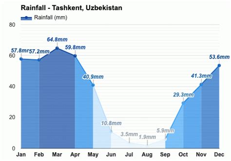 December weather - Winter 2023 - Tashkent, Uzbekistan