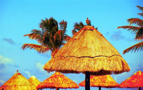 Tiki Huts Photograph by Culture Cruxxx - Fine Art America