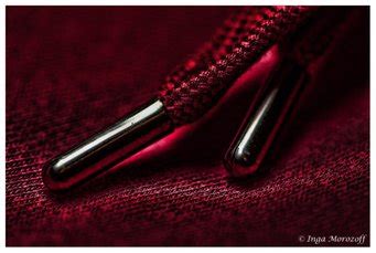 Photo Gallery - Aglets