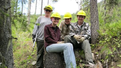 The Future Of Forest Protection - Boreal Forest