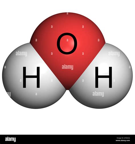 Water Molecule Structure