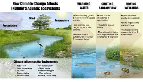 Aquatic Ecosystems in a Shifting Indiana Climate: A Report from the Indiana Climate Change ...