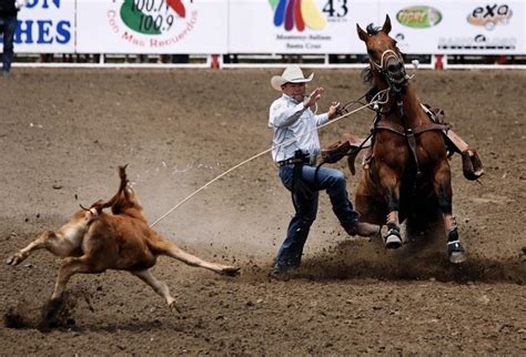 Calf Roping - Salinas Rodeo | Shutterbug