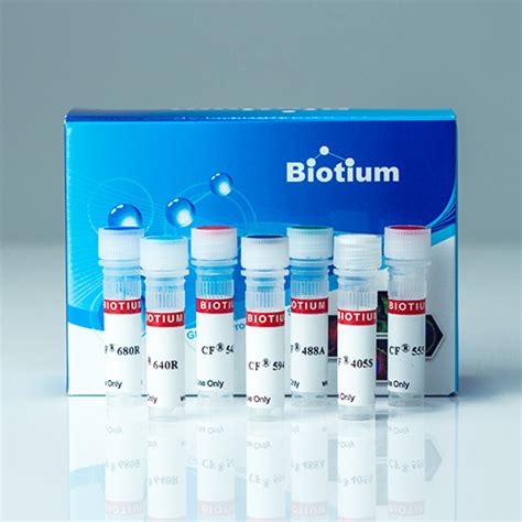 RFP Polyclonal Rabbit Antibody - Biotium