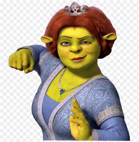 Princess Fiona Shrek Angry