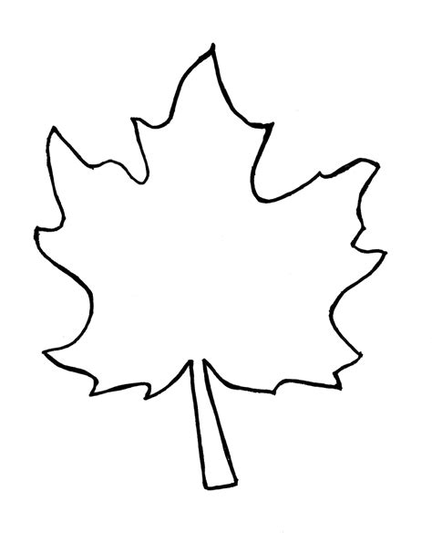 Download Leaf Outline Collection Fall Leaves Pictures Transparent ...