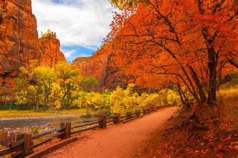 Fall Color Trail To Virgin River Zion Natl Park Photo Print | Photos by ...