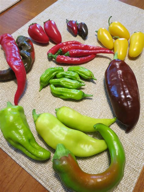 New Pepper Seeds – Sandia Seed Company