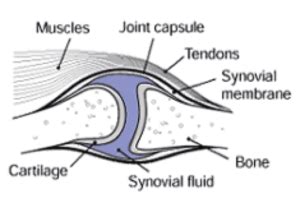 Why Do My Joints Pop? - F.I.T. Muscle & Joint Clinic