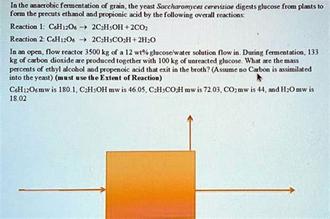 SOLVED: In the anaerobic fermentation of grain, the yeast Saccharomyces cerevisiae digests ...