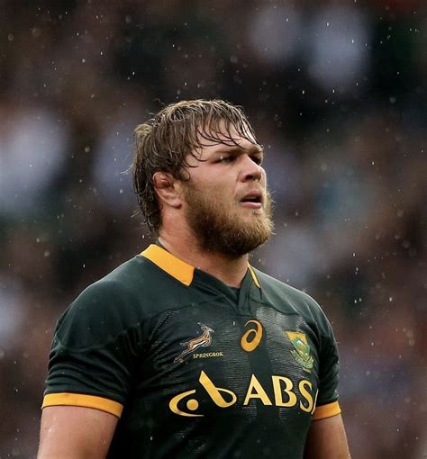 duane vermeulen | Rugby boys, Rugby men, Duane vermeulen