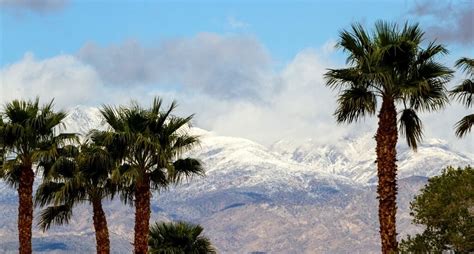 Best Places To See Snow in San Diego - San Diego Explorer