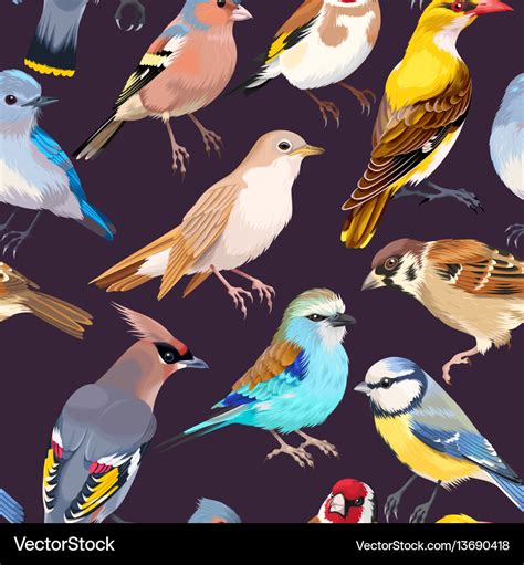 Seamless patterns with birds Royalty Free Vector Image