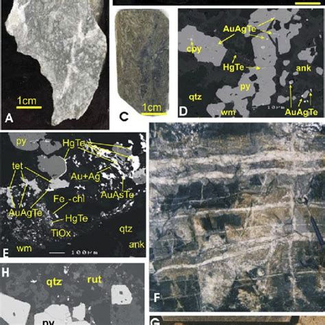 Location and geology of the Kalgoorlie area. (A) Yilgarn Craton as a... | Download Scientific ...