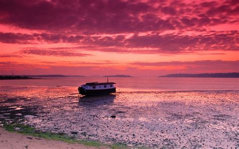 UK coastal walks: Brownsea island, Dorset | Northern lights trips, See ...