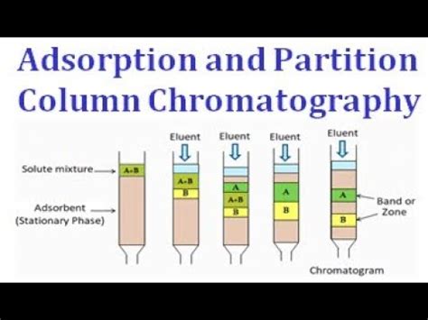 Adsorption and partition column chromatography - YouTube