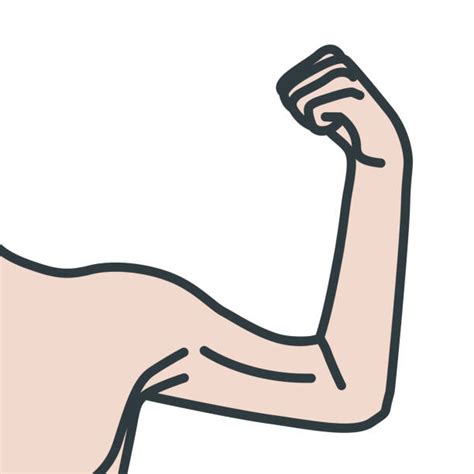 100+ Strong Arm Weak Arm Stock Illustrations, Royalty-Free Vector Graphics & Clip Art - iStock