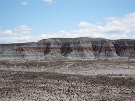 Petrified Forest & Painted Desert