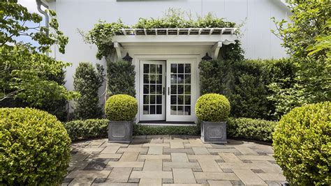 Boxwood Winter Care: How to avoid boxwood winter burn