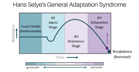 The Stages of Adrenal Fatigue | Dr. Andrew Neville