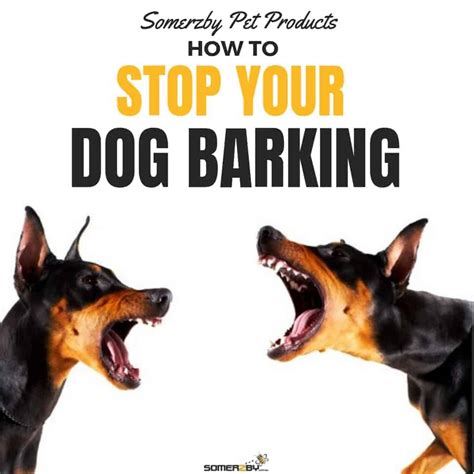 How to Stop Your Barking Dog Successfully - Updated Guide