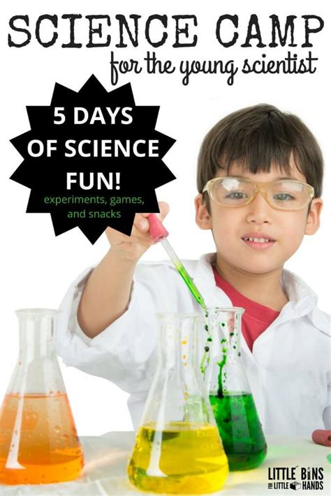 Summer Science Camp for Young Scientists : 5 Days of Fun!