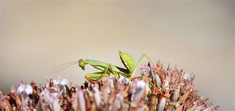 Madagascar - PHOTOGRAPHY on Behance