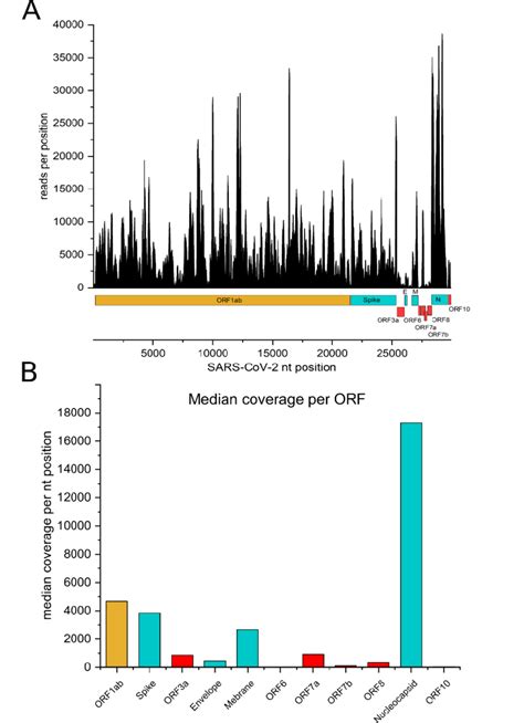 NGS data analysis. A: NGS reads per nucleotide position plotted for ...