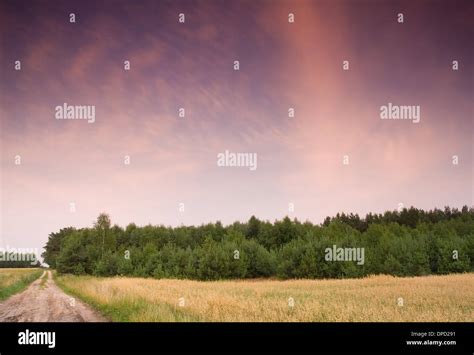 landscape with rural sandy road Stock Photo - Alamy