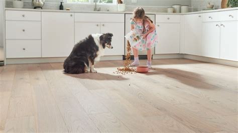 Hartco Introduces Pet-Friendly Dogwood Pro Densified Wood Flooring | FLOOR Trends & Installation