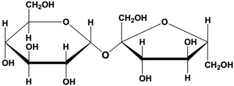 Glycosidic Bond Video Tutorial & Practice | Pearson+ Channels