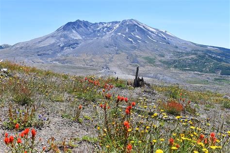 13 Top Hiking Trails at Mount St. Helens | PlanetWare