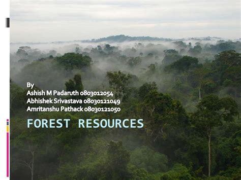 Forest Resources: Ppt On Forest Resources