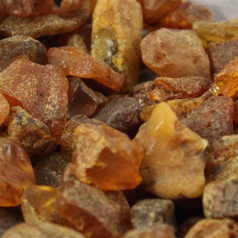 Rough Amber from the Baltic | Raw Baltic Amber | UK Shop